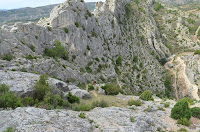 carrera de montaña teruel trail geoparque maestrazgo maestrail