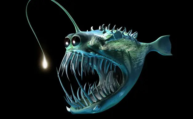 9 weird sea creatures that glow in the dark