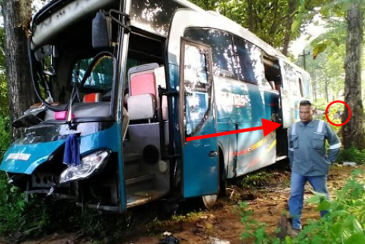 Pria ini Langsung Kabur Saat Setelah Memeriksa Bus yang Masuk Hutan Di Blora! Begini Kisahnya..