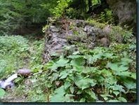 DSCN4172