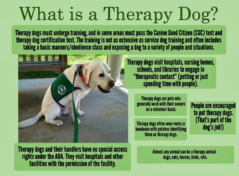 ... to Garth Riley: Sunday Service Dog Blog Hop - Therapy Dog FAQs