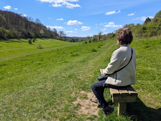 A bench-with-a-view in Long Deans Nature Reserve