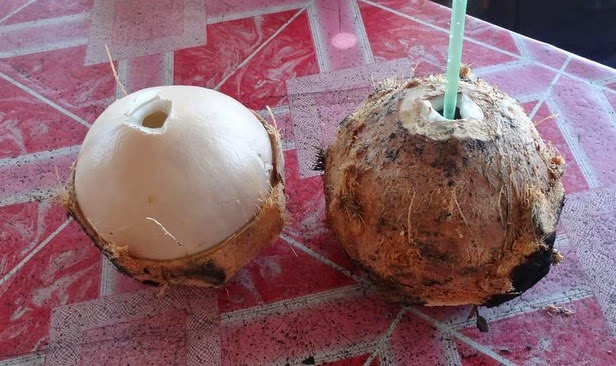 Kelapa Bakar