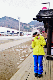 meheartseoul.blogspot.sg (Vera Lee)