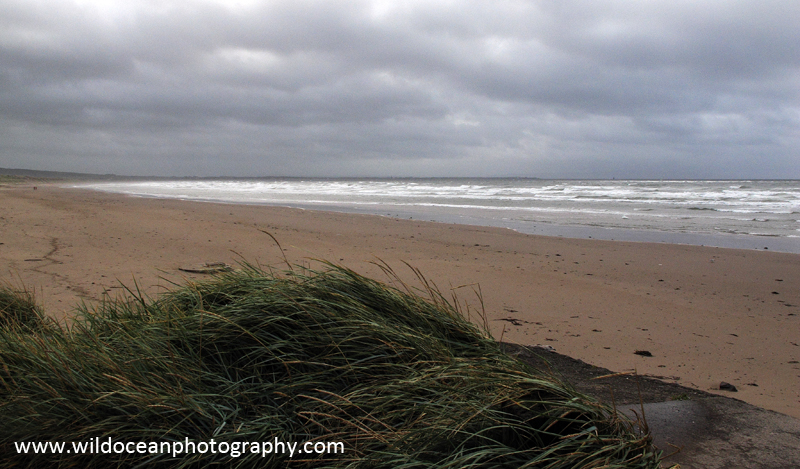 Troon Beach & Harbour