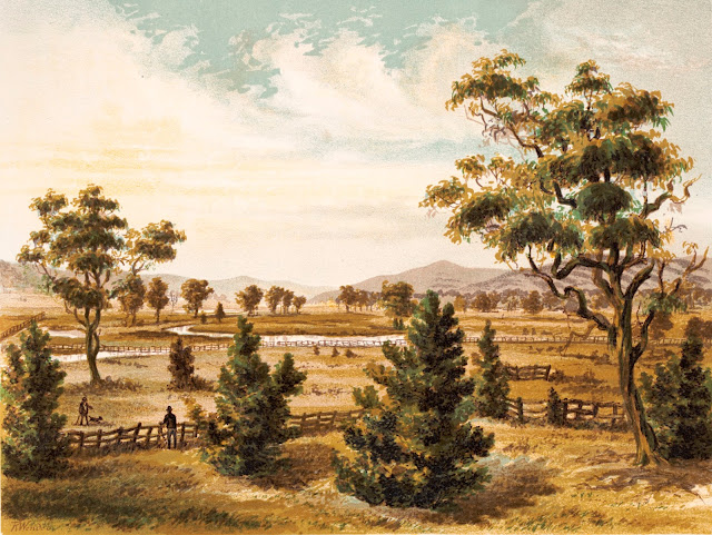 Martindale Station & Creek 1878 New South Wales