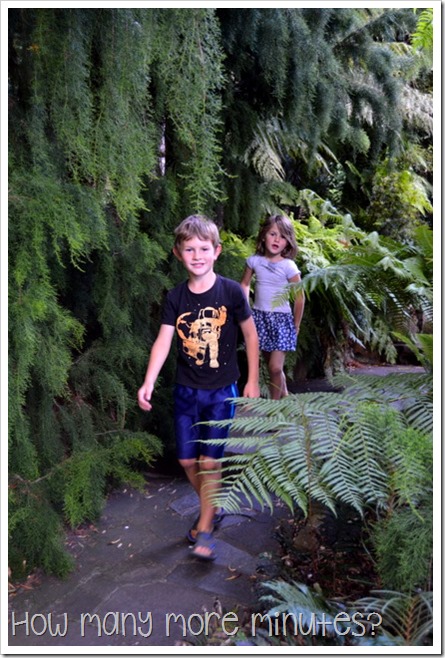 Royal Tasmanian Botanical Gardens ~ How Many More Minutes?