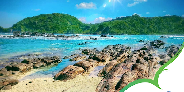 Destinasi Lokawisata Pantai Wediombo Gunung Kidul