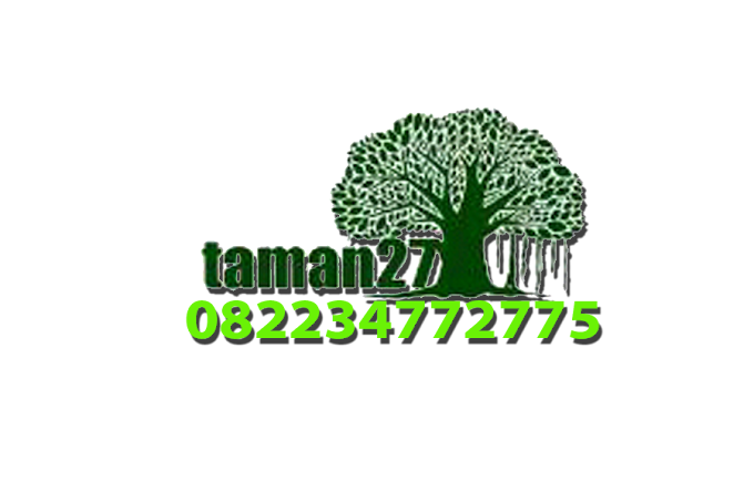 Tukang Taman Profesional Clasic,Minimalist & Modern ~ 082 234 772 775