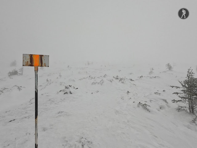 Traseu de iarnă pe Vârful Giumalău (1858 m)