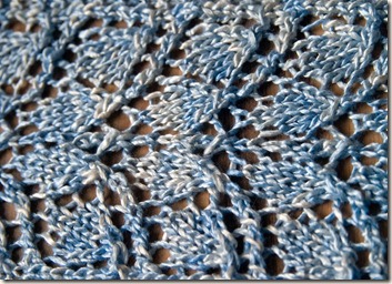 blocked-branching-out-2