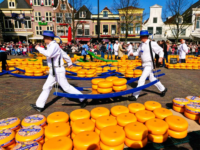 Alkmaar Cheese Market