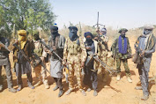 Hangry Niger Vigilante Killed 50 Bandits