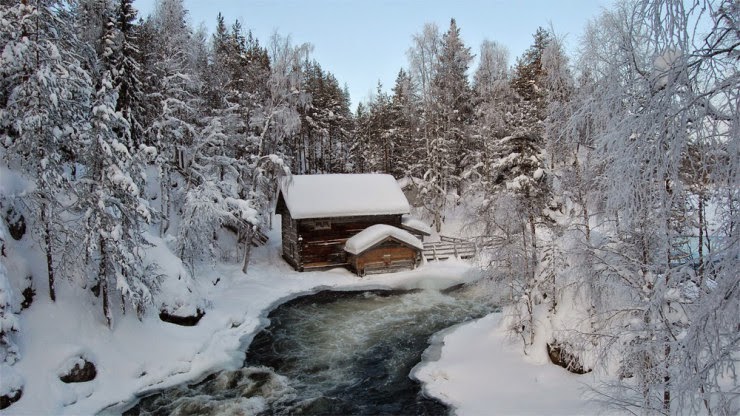 Go Skiing in Oulanka National Park in Finland