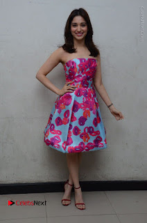 Actress Tamanna Latest Images in Floral Short Dress at Okkadochadu Movie Promotions  0166.JPG