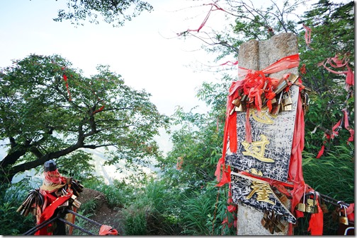 China347