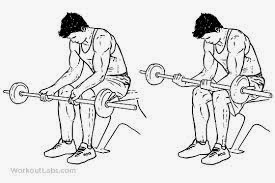 Seated palm-up barbell wrist curl