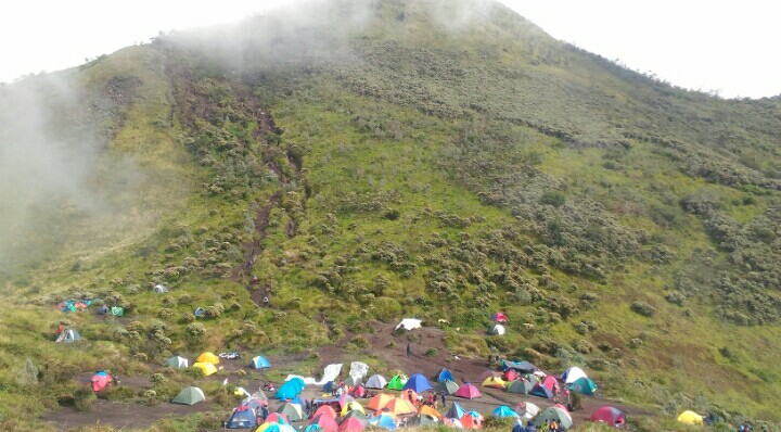 Info Pendakian Gunung Merbabu - VIApendaki