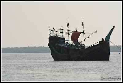 Nijhum Dwip Sea Beach, Virgin Island Sea Beach, Nijhum Island Hatia, Trip Navigation Bangladesh, Nijhum Dwip Travel Guide