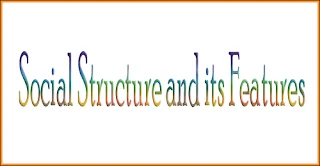 Social Structure and its Features