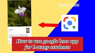 How to use google lens app for botany students