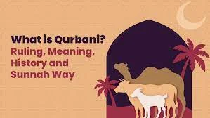 Qurbani