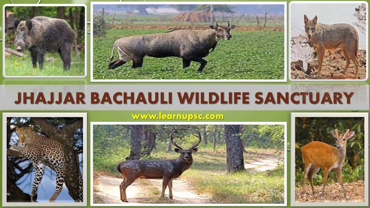 Jhajjar Bachauli Wildlife Sanctuary