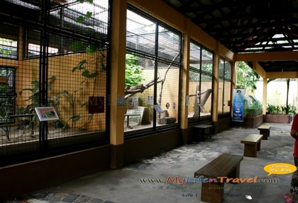 Langkawi Wildlife Park