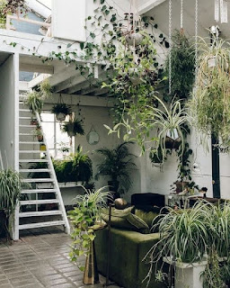 A plant-filled white room with a built-in white ladder going up to a loft.