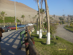 Arica