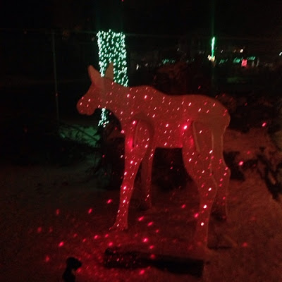 Zoo Lights at Stone Zoo