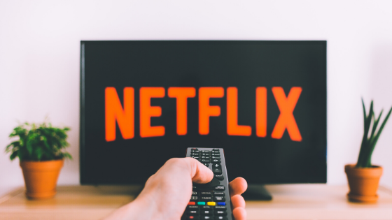 Netflix e a aliança com FAPAV - Combate a pirataria na Europa