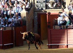 Salida de toriles Sevilla