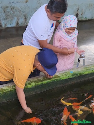 Nanyang Fish Farm Kulai