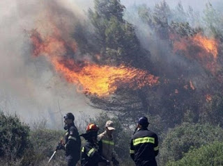 Ηλεία: Υπό έλεγχο η φωτιά στην περιοχή Διάσελλα