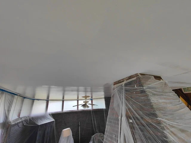 Plaster Ceiling Repair