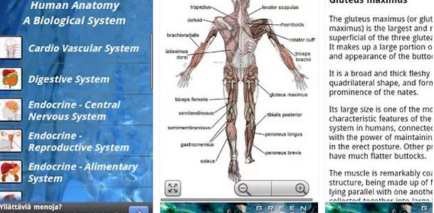تطبيق Human Anatomy لطلاب كلية الطب لمذاكرة التشريح