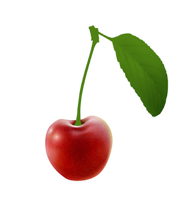 cherry, realistic, botanical, photoshop, tutorial, wip, irene laschi