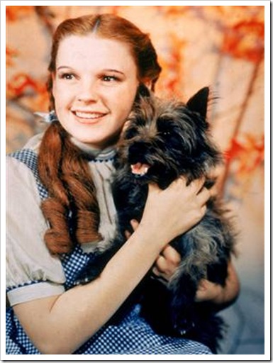 Dorothy and Toto