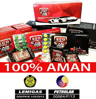 Bisnis Eco Racing