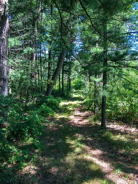 Ice Age Trail Deerfield Segment