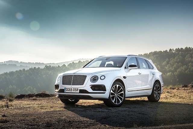 Bentley SUV