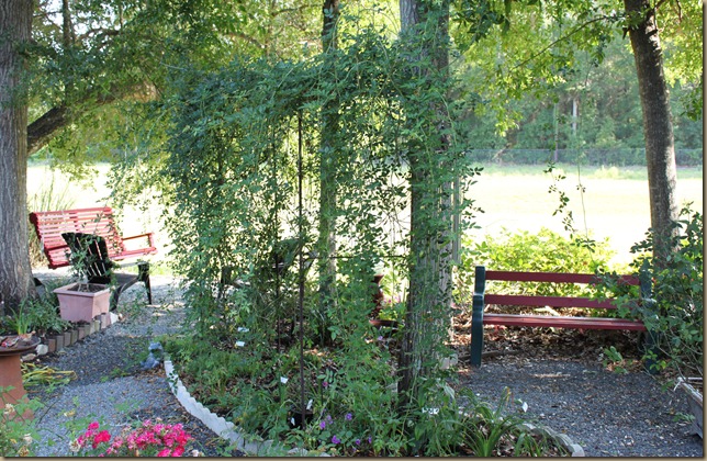 IMG_3354 IMG_3354