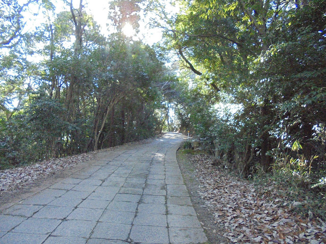 清水寺線を降ります