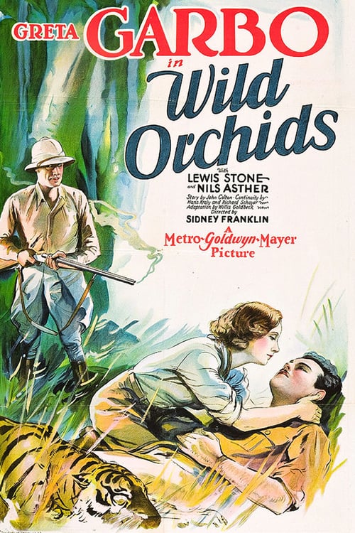 Ver Wild Orchids 1929 Pelicula Completa En Español Latino