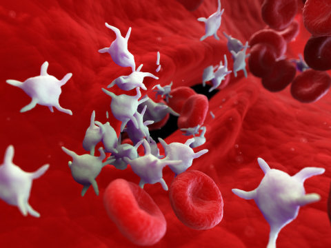Alterações nas plaquetas do sangue desencadeadas pelo COVID-19