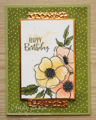 Heart's Delight Cards, Painted Poppies, Birthday Card, 2020 Jan-June Mini Catalog, Stampin' Up!