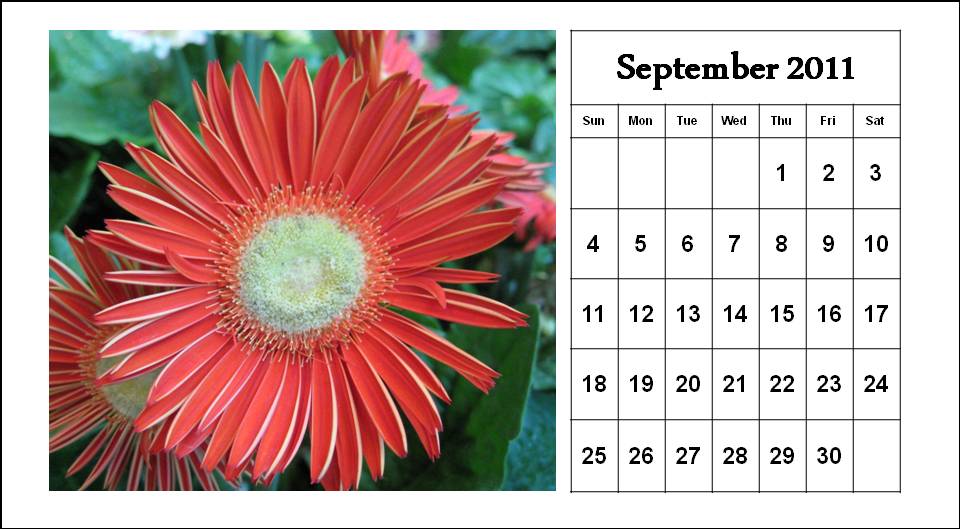 Flowers September 2011 Calendar Template. To download and print this Free 