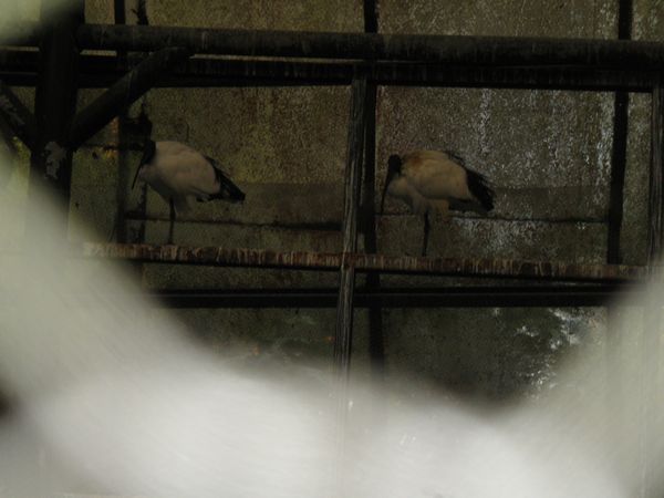 tn_PC120116.JPG
