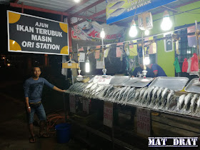 Ikan Terubuk Kuching Sarawak Ori